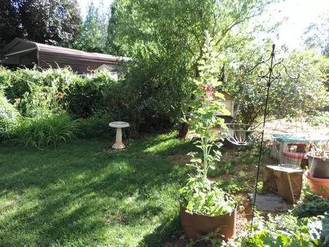 21694 Oregon St, Burney, CA 96013 photo 18