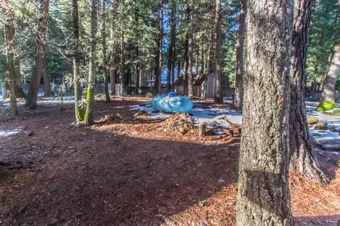 8140 Starlite Pines Rd, Shingletown, CA 96088 photo 10
