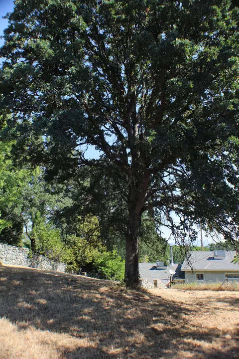 4275 Waushara Ave, Redding, CA 96001 photo 48
