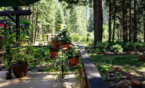 7706 Hidden Meadows Rd, Shingletown, CA 96088 photo 9