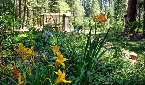 7706 Hidden Meadows Rd, Shingletown, CA 96088 photo 6