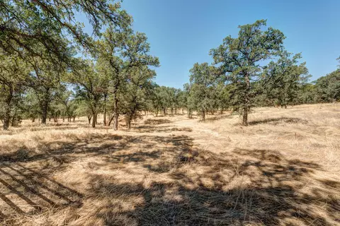 10624 Oak Run Rd, Oak Run, CA 96069 photo 22