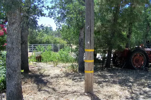 21222 Rae, Redding, CA 96003 photo 21
