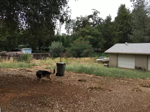 19517 Tunnel Rd, Redding, CA 96003 photo 10