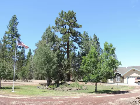 43322 Shoshoni Loop, Fall River Mills, CA 96028 photo 40