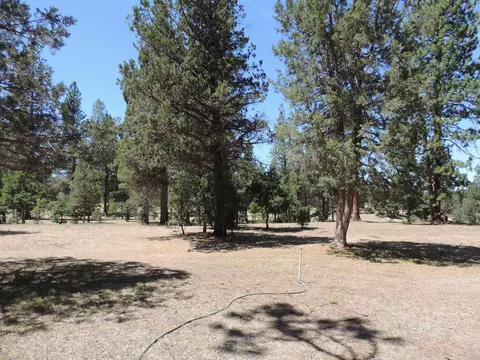 43322 Shoshoni Loop, Fall River Mills, CA 96028 photo 38