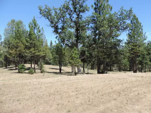 43322 Shoshoni Loop, Fall River Mills, CA 96028 photo 39