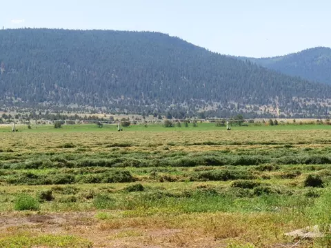 661-025 Mathews Rd, Bieber, CA 96009 photo 19
