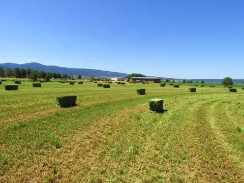 661-025 Mathews Rd, Bieber, CA 96009 photo 4