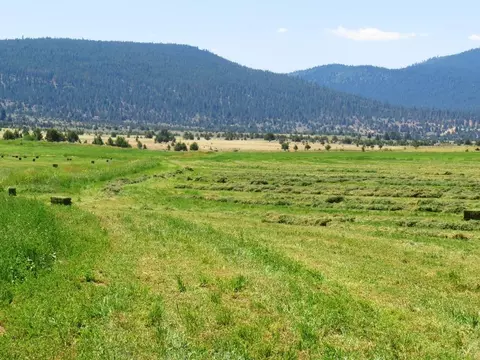 661-025 Mathews Rd, Bieber, CA 96009 photo 24