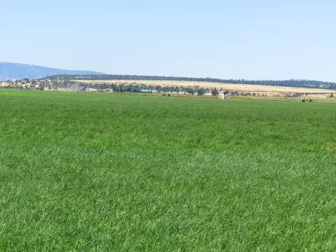 661-025 Mathews Rd, Bieber, CA 96009 photo 7