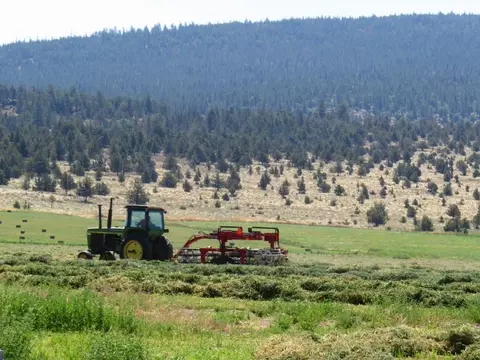 661-025 Mathews Rd, Bieber, CA 96009 photo 18
