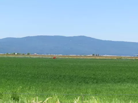 661-025 Mathews Rd, Bieber, CA 96009 photo 25