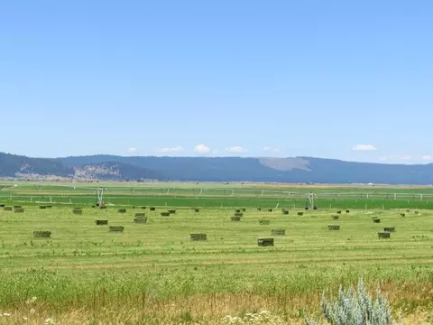 661-025 Mathews Rd, Bieber, CA 96009 photo 20