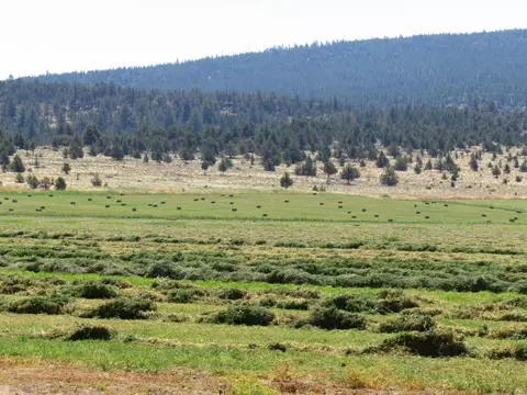 661-025 Mathews Rd, Bieber, CA 96009 photo 17