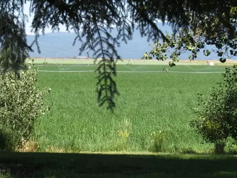 661-025 Mathews Rd, Bieber, CA 96009 photo 27