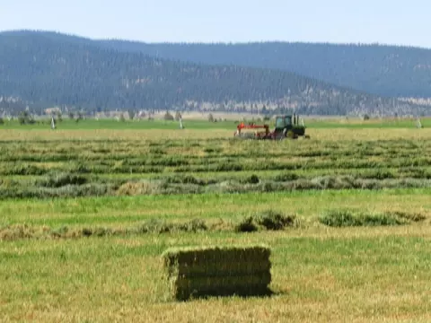 661-025 Mathews Rd, Bieber, CA 96009 photo 21