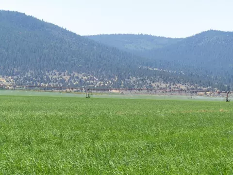 661-025 Mathews Rd, Bieber, CA 96009 photo 15