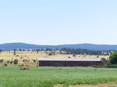 661-025 Mathews Rd, Bieber, CA 96009 photo 8