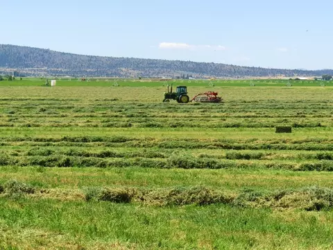 661-025 Mathews Rd, Bieber, CA 96009 photo 3
