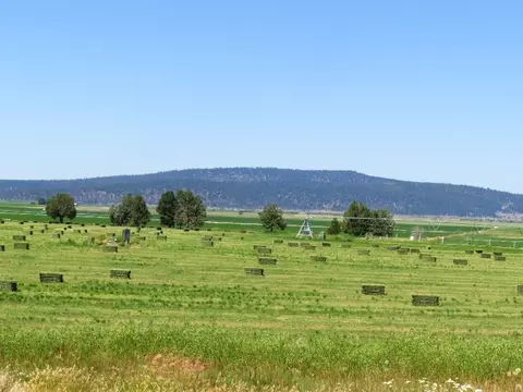 661-025 Mathews Rd, Bieber, CA 96009 photo 2