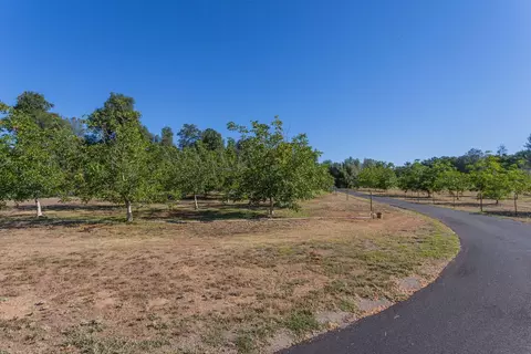 20936 Yogi Bear Ln, Redding, CA 96003 photo 21