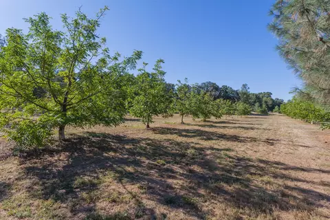 20936 Yogi Bear Ln, Redding, CA 96003 photo 20