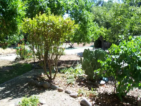 6517 Creekside St, Redding, CA 96001 photo 21