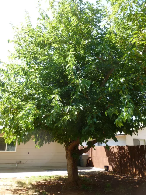 3969 Mercury Dr, Redding, CA 96002 photo 25