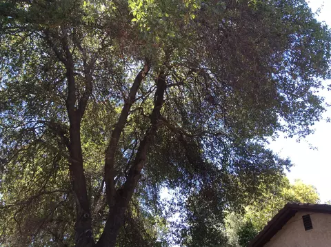 1262 Harpole Rd, Redding, CA 96002 photo 3