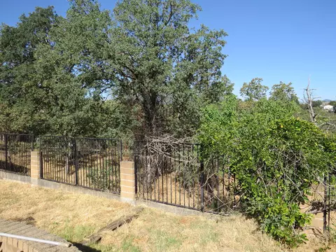 4340 Emily Way, Redding, CA 96001 photo 44