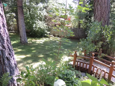 37175 Sapphire Rd, Burney, CA 96013 photo 27