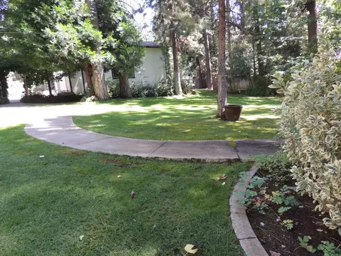 37175 Sapphire Rd, Burney, CA 96013 photo 28