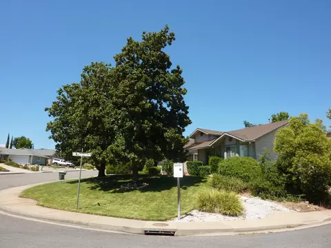 477 Dominica Ct, Redding, CA 96003 photo 11