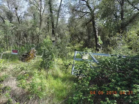 6788 Rector Crk, Ono, CA 96047 photo 2
