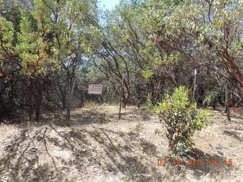 6788 Rector Crk, Ono, CA 96047 photo 3