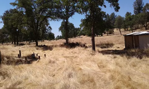 22527 Elk Trl E, Redding, CA 96019 photo 1