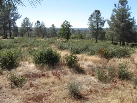 31720 Hazen Rd, Manton, CA 96059 photo 17