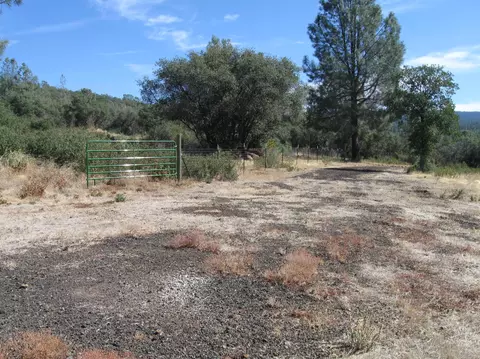 31720 Hazen Rd, Manton, CA 96059 photo 12