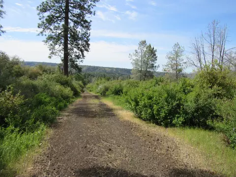 31720 Hazen Rd, Manton, CA 96059 photo 10