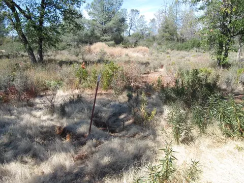 31720 Hazen Rd, Manton, CA 96059 photo 11