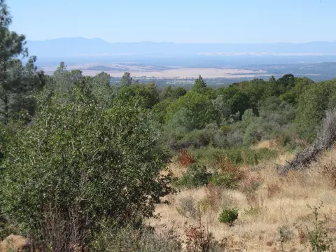 31720 Hazen Rd, Manton, CA 96059 photo 1