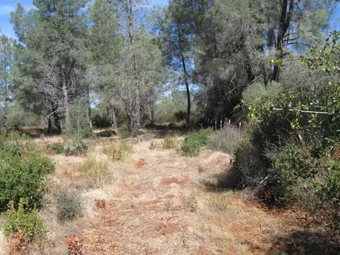 31720 Hazen Rd, Manton, CA 96059 photo 18