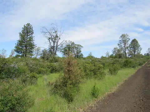 31720 Hazen Rd, Manton, CA 96059 photo 9
