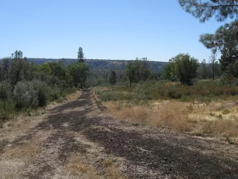31720 Hazen Rd, Manton, CA 96059 photo 14
