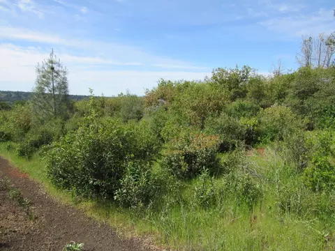 31720 Hazen Rd, Manton, CA 96059 photo 6