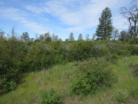 31720 Hazen Rd, Manton, CA 96059 photo 7