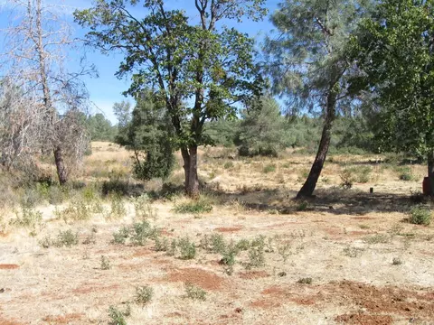 31720 Hazen Rd, Manton, CA 96059 photo 21
