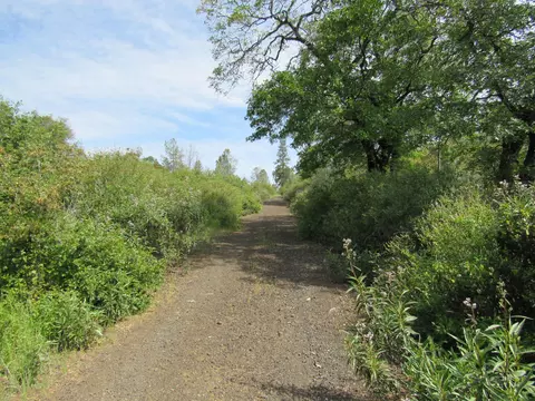31720 Hazen Rd, Manton, CA 96059 photo 4