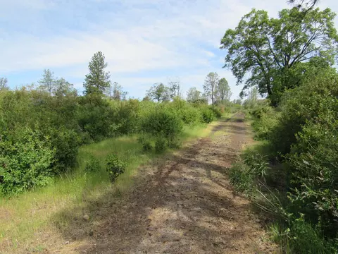 31720 Hazen Rd, Manton, CA 96059 photo 5